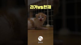 네이버 인플루언서 [네이버 인플루언서] 과거vs현재