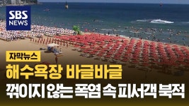 해수욕장 바글바글 - 글로벌 정치 미니 갤러리