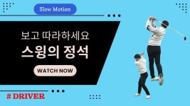 네이버 인플루언서 [네이버 인플루언서] GTS골프아카데미의 드라이버스윙