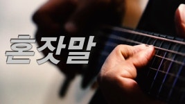 홍자노래 중에서 내 최애곡 감성트롯곡 혼잣말 라이브 노래영상 - 여자 트로트 마이너 갤러리