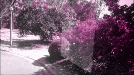 Escape Into the Bushes - F Ingers: Song Lyrics, Music Videos & Concerts