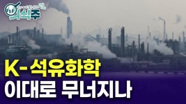 석유화학하고 철강위기는 이거 보셈 - 중도정치 마이너 갤러리 석유화학하고 철강위기는 이거 보셈  - 중도정치 마이너 갤러리