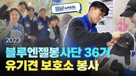 네이버 인플루언서 [네이버 인플루언서] 200마리 접종했어요. 블루엔젤봉사단 36기 브이로그 | 수의사 브이로그 EP.32
