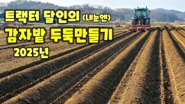 감자밭 두둑만들기 2025년 수미감자 감물감자 괴산감자 트랙터로 밭 준비 충북 괴산 풀뿌리농장 자연특별시괴산 자연울림 [감자재배방법]