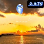 요요TV - YouTube 요요TV