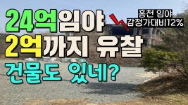 네이버 인플루언서 [네이버 인플루언서] 박철호의경매아카데미의 토지경매