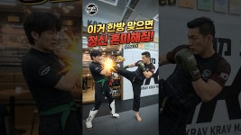 네이버 인플루언서 [네이버 인플루언서] 이거 한방 맞으면 정신 혼미해짐(A Mind-Stunning Strike) #ikma #mma #크라브마가 #kravmaga