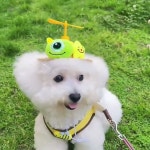 해피데이 - YouTube 해피데이