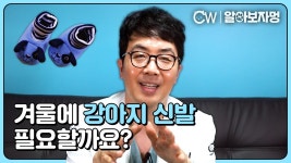 네이버 인플루언서 [네이버 인플루언서] 겨울산책의적! 염화칼슘! 강아지 신발이 필요할까요? 고르는 방법 꿀팁 :)