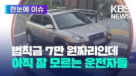 보행자가 길을 건너지못한 상태에서 우회전한다고 뭐라하는데 - 배달대행 기사들 모임 마이너 갤러리