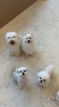 엘라유치원 - YouTube