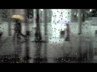 비가 비가 - 한승기 | Shazam