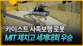 이거 한대면 1분대 대체 가능할거 같다 - 군사 마이너 갤러리