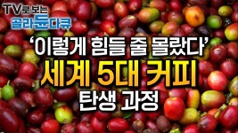 인도네시아 만델링 극한직업 다큐멘터리 - 커피 마이너 갤러리 인도네시아 만델링 극한직업 다큐멘터리  - 커피 마이너 갤러리