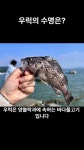 이야기상자 jm_tv - YouTube