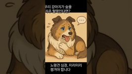 네이버 인플루언서 [네이버 인플루언서] 심장영양제 우리 강아지에게  필요할까요?#강아지 심장병#강아지정보#강아지심장영양제#닥터엠하트... 
