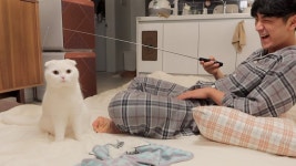 네이버 인플루언서 [네이버 인플루언서] 찐따특) 지혼자 재밌음 ;;