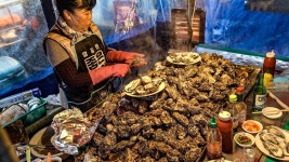 원조 굴 포차 동영상 - 나무위키 차단 소명 마이너 갤러리