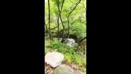 치악산펜션 응봉산장TV - YouTube