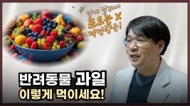 네이버 인플루언서 [네이버 인플루언서] 반려동물 과일 이렇게만 먹이세요! [우리동네수의사]