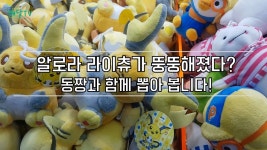 동짱과 함께하는 인형뽑기! AO뽑기 | Doovi [해달TV]알로라 라이츄가 뚱뚱해졌다?! 동짱과 함께하는 인형뽑기! AO뽑기