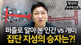 국민이 개미보다 멍청한 이유 ~ - 미국 정치 마이너 갤러리