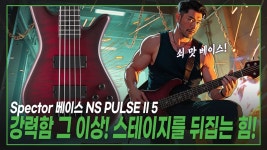 스펙터 이거 신품치고 가격이 ㄱㅊ네 - 베이스 마이너 갤러리