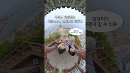 네이버 인플루언서 [네이버 인플루언서] 강아지랑 함께 갈 수 있는 속초&고성 관광지 #강아지 #애견동반