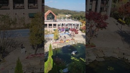 네이버 인플루언서 [네이버 인플루언서] 용인 자작나무숲 베툴라 베이커리 카페