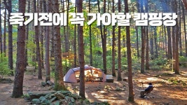 네이버 인플루언서 [네이버 인플루언서] 이런 캠핑장이 곧 문 닫는다고 합니다.ㅠㅠ 꼭! 끝까지 보세요. 잣나무를 품은 팔현캠프 리뷰
