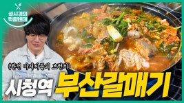 먹텐 시청역 부산갈매기 - 성시경 유튜브 마이너 갤러리