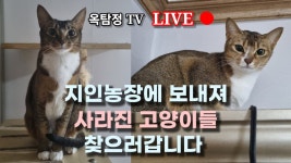 올 1월달에 농장으로 보내진 고양이 3마리 찾으러 왔습니다 (곡성) - YouTube 올 1월달에 농장으로 보내진 고양이 3마리 찾으러 왔습니다 (곡성)