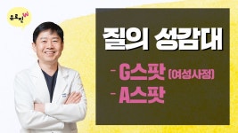 성감대 존 a스팟과 g스팟 - 비뇨기과 마이너 갤러리