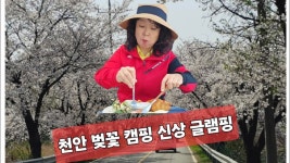 인플루언서 [네이버 인플루언서] 밥안할래 바베큐와 조식으로 벚꽃글램핑 따끈따끈 신상 천안몽키글램핑 개별화장실 신축글램핑 캠핑장 가는 꽃길