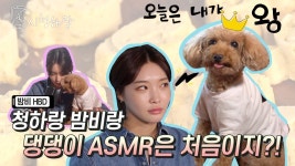 밤비케이크bambicake | EP 7. 밤비 생일 케이크 만들기 - 시청하랑 마이너 갤러리