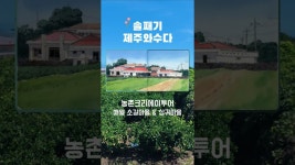 네이버 인플루언서 [네이버 인플루언서] 애월 소길리 상귀리 마을 여행 #제주착한여행