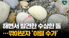 강아가가 본다던 영상이 이런거였나 - 강지(스트리머) 마이너 갤러리