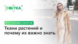 2020-03-0284 | БИОЛОГИЯ ЕГЭ 2020 СОТКА 유튜브 채널 분석 보고서 - NoxInfluencer
