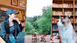 [vlog] 영월 2박 3일 브이로그ㅣ산속에 서점 있어요 한국에서 뷰가 가장 좋은ㅣ인디문학1호점 일일 서점지기ㅣ영월 숙소 추천ㅣ장마가 시작되던 날