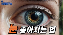 눈이 맑아지고 시력이 좋아지는 비결 - 주식 갤러리