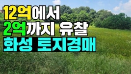 네이버 인플루언서 [네이버 인플루언서] 12억에서 2억까지 유찰된 화성 토지경매