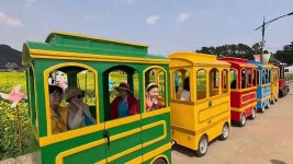 네이버 인플루언서 [네이버 인플루언서] 절정을 맞은 강원특별자치도 최대 봄꽃축제 2025 삼척 맹방 유채꽃축제