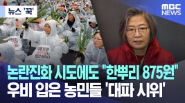 농민들 대파 시위.. 이수정 ‘한뿌리 가격‘ 빼액 - 새로운보수당 마이너 갤러리