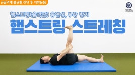 네이버 인플루언서 [네이버 인플루언서] 햄스트링 유연성 향상 및 부상 방지를 위한 햄스트링(슬괵근) 스트레칭