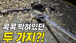 네이버 인플루언서 [네이버 인플루언서] 낙지 잡으러 간 갯벌에 콕콕 박힌 두가지?! +먹방 / 곰섬바다정원펜션