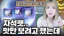 네이버 인플루언서 [네이버 인플루언서] 메린이 3석펫 60만원 컷했습니다 [메이플스토리]