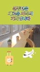 푸른하늘 - YouTube