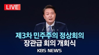 제3차 민주주의 정상회의 장관급 회의 개회식 - 글로벌 정치 미니 갤러리