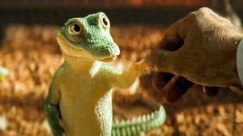 라일 크로커다일은 - 오리지널 티켓 마이너 갤러리