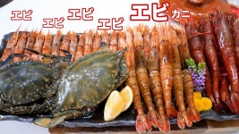 키마구레 간장새우나 봐야지 - 러브라이브 갤러리